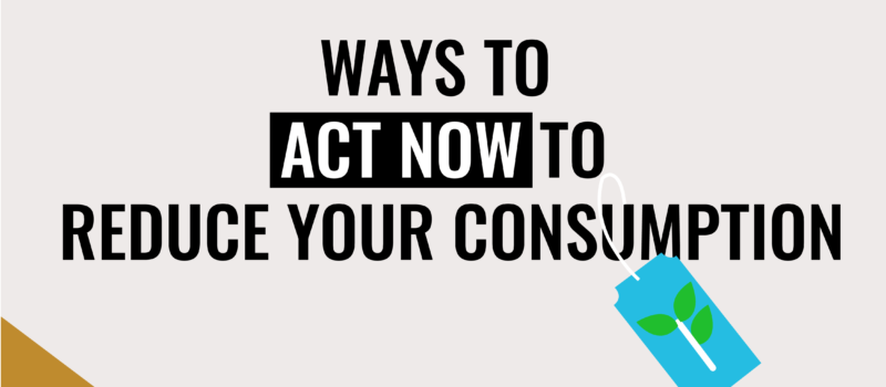 act-now-reduce-consumption-slide-1-cover-en 2